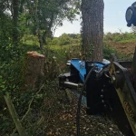 Alpha Tree Shears